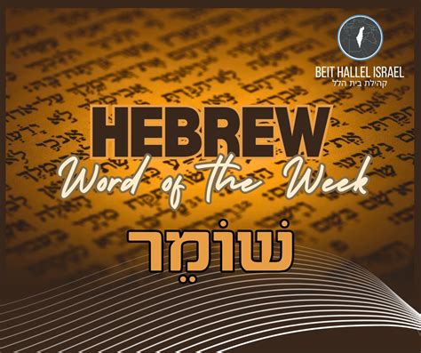 Hebrew Word of the Week — Kum (קוּם, koom) — To Rise Before God - Beit Hallel Israel