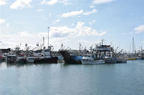Preliminary testing finds high levels of paralytic shellfish toxins in Kachemak Bay blue mussels