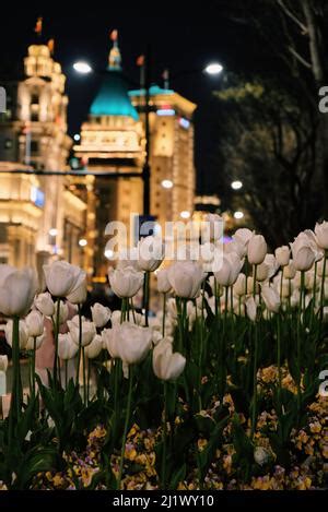 Processed with VSCO with c1 preset Stock Photo - Alamy