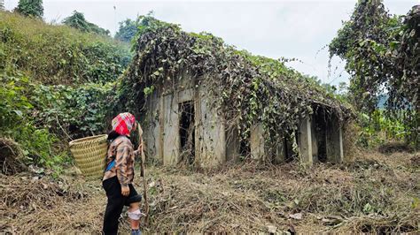 Homeless girl in distress in the deep forest unexpectedly finds safe ...