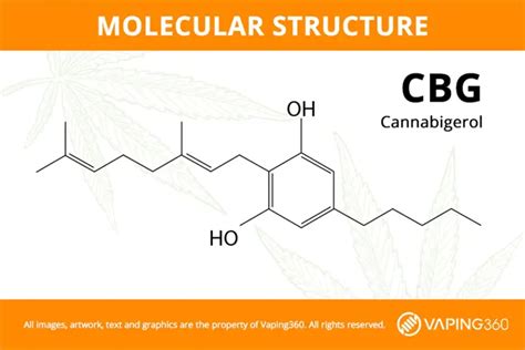 Sa Kabilang Dako ng Mataas: CBD vs. CBDA vs. CBG vs. CBN vs. CBC ...