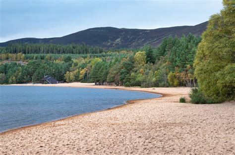 2026 Wild Highlands Explorer Cairngorms, Funicular, Lochs and Views ...