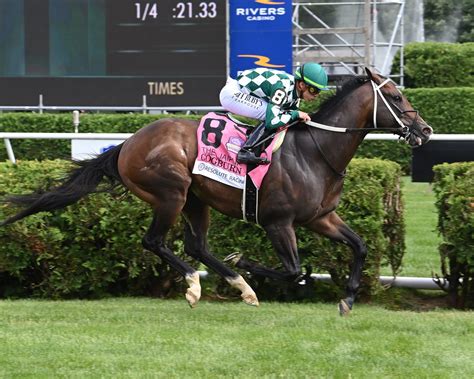 Cogburn, the Fastest Horse in The World | Just Horse Racing