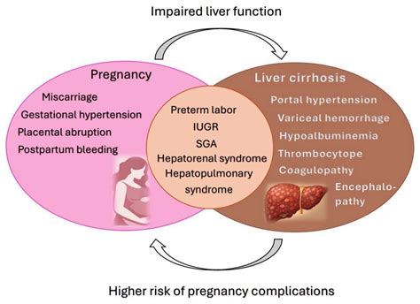 Pregnancy in Liver Cirrhosis: A Rare Clinical Case and Review of Current Management Strategies