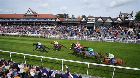Horse Racing News