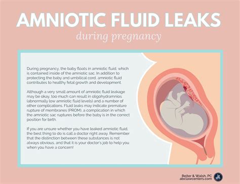 Is It Normal To Leak Fluid During Pregnancy New Content Upload 2026 #999