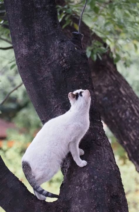 I could daydream all day at this healing park in Guangzhou! | Trip.com ...