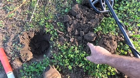 They dug trash for hours - then the dirt suddenly decided to pay rent