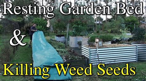 Transforming my spring garden beds for summer | Weeding, harvesting ...