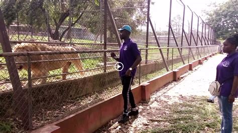 Gallery – Holy Child Continual School | Kumasi | Ghana 🇬🇭 ...