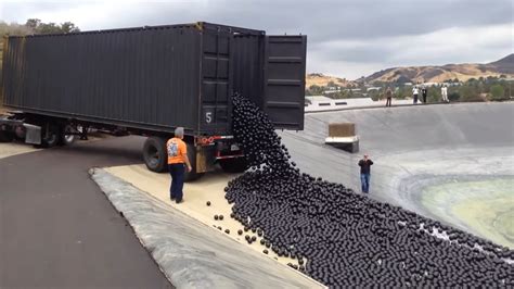 Why Los Angeles dropped 96 million black balls into drinking water