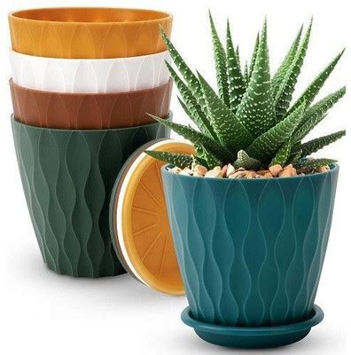 BULAPLANTHOUSE Coconut Plant Price in India - Buy BULAPLANTHOUSE ...