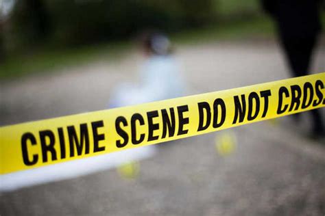 Woman, daughter murdered in Delhi, bodies stuffed into bed box