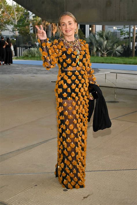 Sharon Stone Is a Work of Art in a See-Through Illusion Dress With Floating Tassels