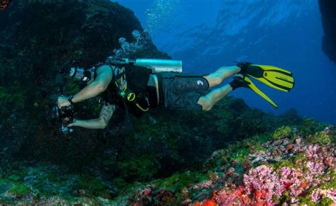 6 essential tips every first-time scuba diver should know