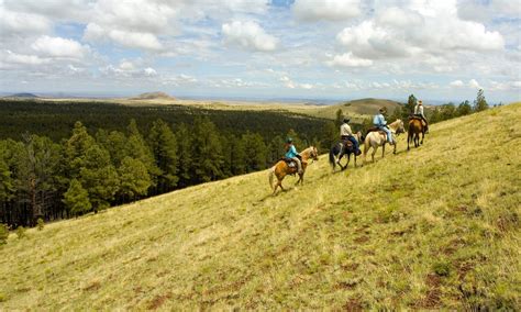 Places to stay near White Mountain National Forest in Campton (5 out of ...