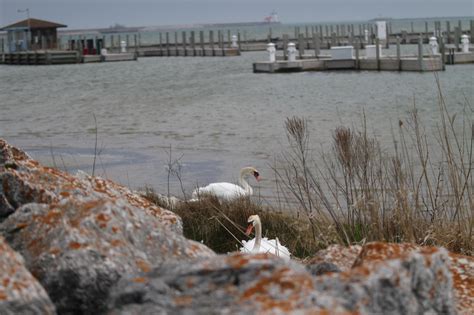 Who wants to live... - Concerned Citizens of Juniata Township | Facebook