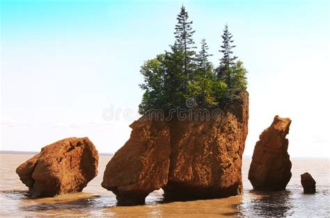 902 Hopewell Rocks Stock Photos - Free & Royalty-Free Stock Foton från ...