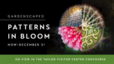 Meet the 2026 Spring Outdoor Leadership Corps! - News from the ...