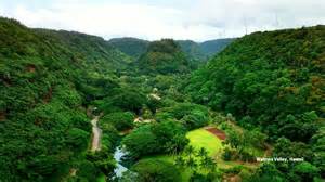 The Hunger Games: Drone Views of Iconic Filming Locations - headquarters of forest survey of india