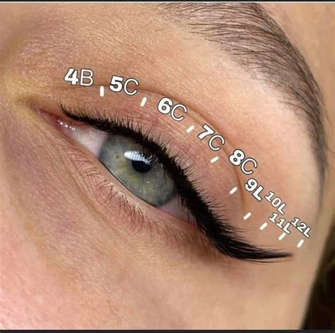 Silk eyelash extensions | Eyelash lift and tint, Eyelash tips, Lash mapping
