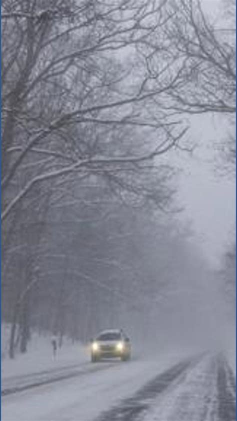 Can trees 'explode' during winter weather? | 10tv.com