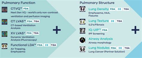 4DMedical Investment Analysis