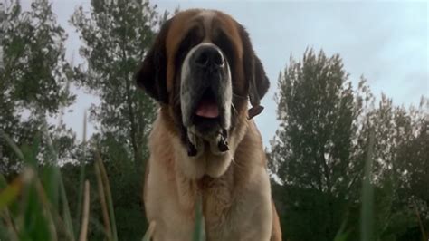 The Most Savage Animal Attack Horror Movies