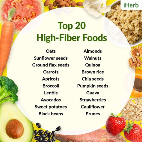 High Fiber Foods List For Cats