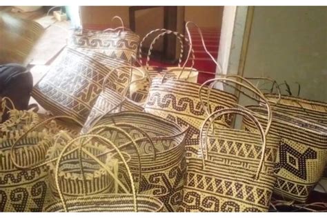 Bedah Makna dan Keistimewaan Motif Anyaman Khas Kalteng, Ada Batang ...
