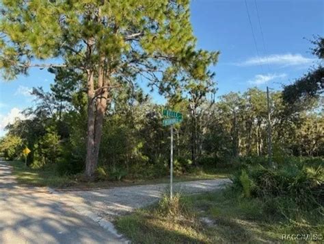 10553 S Belle Pt, Homosassa, FL 34446 | Realtor.com®