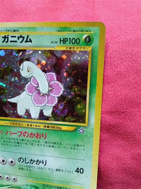 Meganium 10/111 - Holo - NM - Pokémon Neo Premium File | eBay