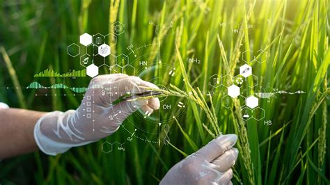 FoodTech 2025: The Top Breakthrough Technologies & Investment Outlook ...