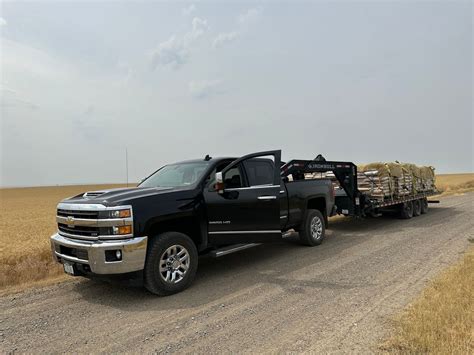 Galentines meet and greet!, PJ’s Feed Bin, Missoula, 13 February 2026 ...