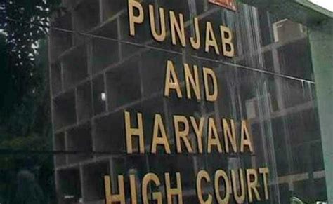 961 trees 'being uprooted' in Mohali: High court lists PIL for urgent ...