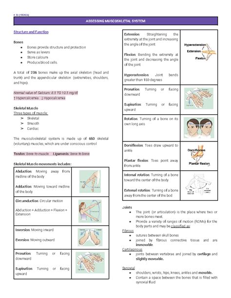 K. Eli (1BSN2A) Musculoskeletal System Assessment Notes - Studocu