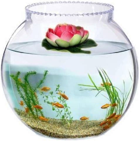 Fish Tanks - Aquariums Online at Best Prices on Flipkart