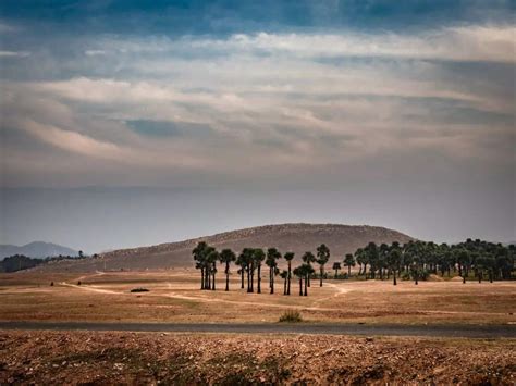 It's time you visit Bihar, the state is a traveller's wonderland ...