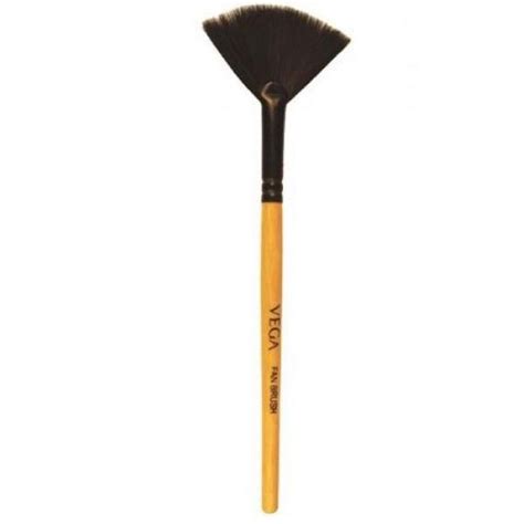 Vega Fan Brush EV-11 (Pack of 3) : Amazon.in: Beauty