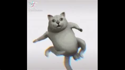 歡喜就好抖音跳舞的貓 - YouTube