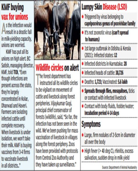 Karnataka: Lumpy disease hits livestock, business across Karnataka ...