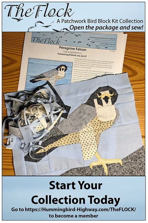 Image result for Fractured Falcon Quilt Pattern