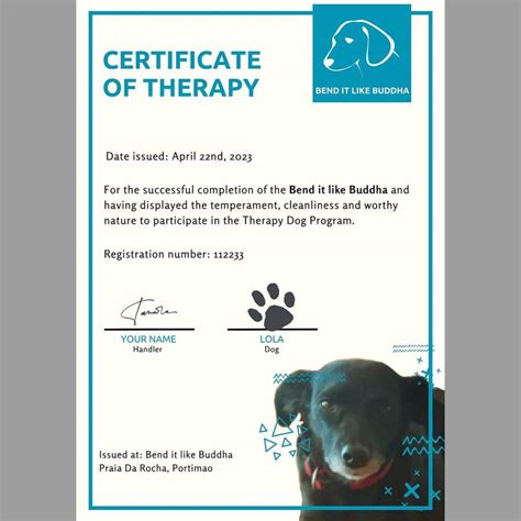 Healer/Therapy Dog Certificate graphic design | Freelancer