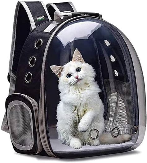 Birds - Buy Birds Online at Best Prices In India | Flipkart.com