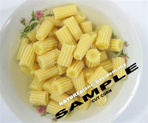 canned BABY CORN products,Malaysia canned BABY CORN supplier
