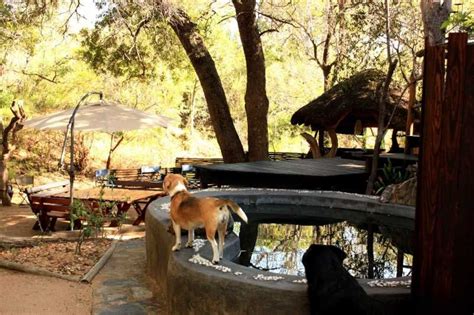 Off Beat Bush Lodge, Hoedspruit