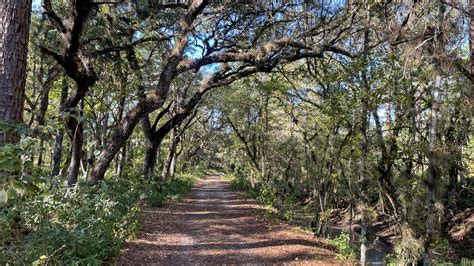 Yellow Trail, Colt Creek State Park – Florida Hikes