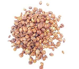 SriSatymev ® Malkangani 400g | Celastrus | Paniculatus Seed : Amazon.in ...