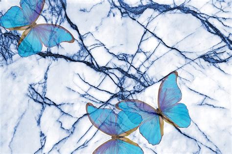 Image result for State Capture