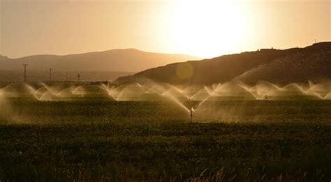 Image result for Fertigation Planting